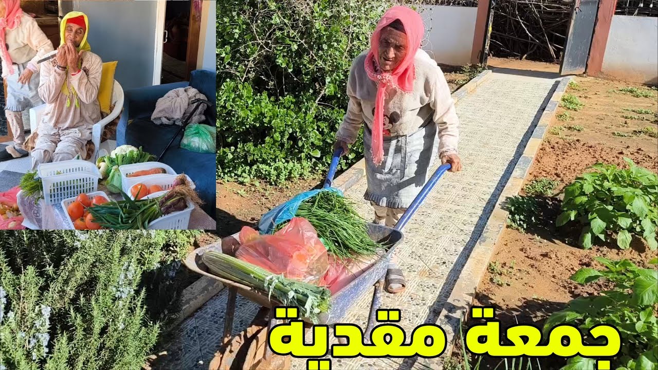 جمعة تقدات لخضرة لدريسية