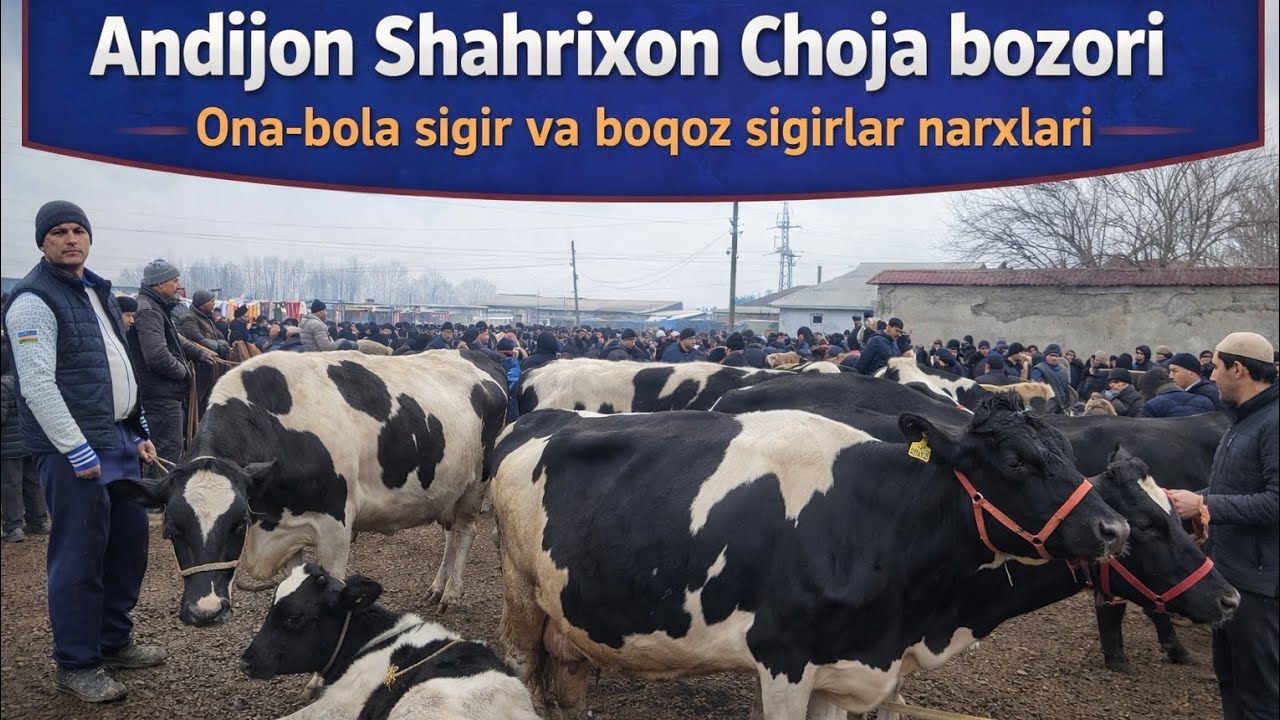 Andijon shahrixon choja bozori 