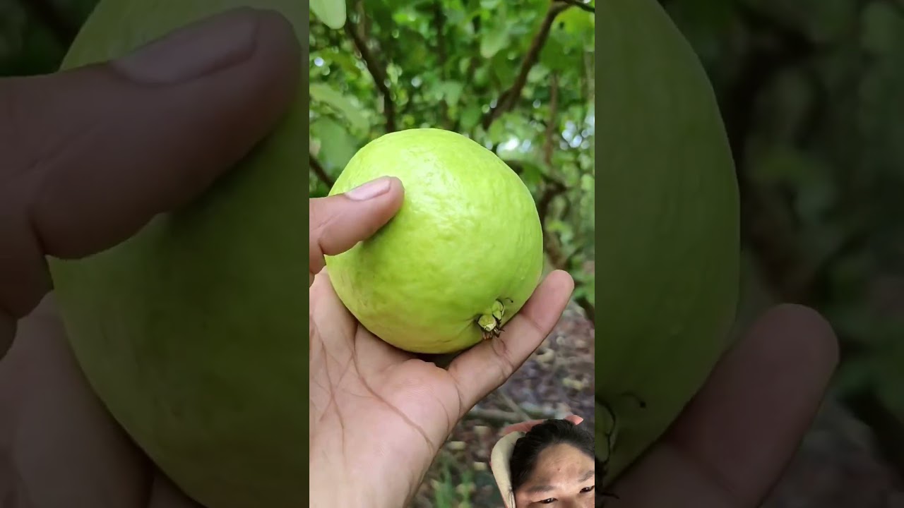 #fruit