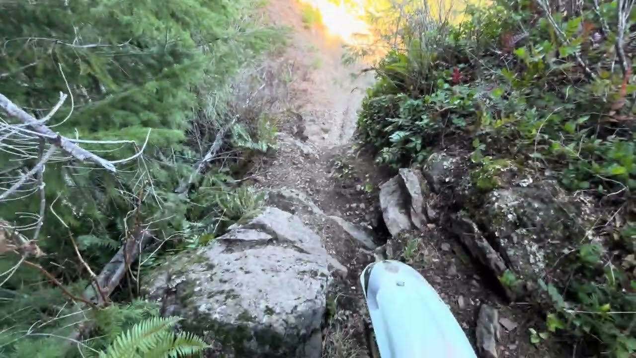 Jones Creek trails - Unknown 