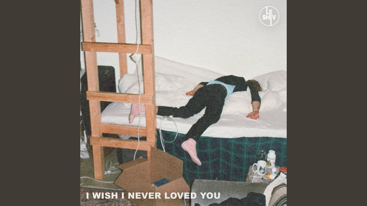 I Wish I Never Loved You