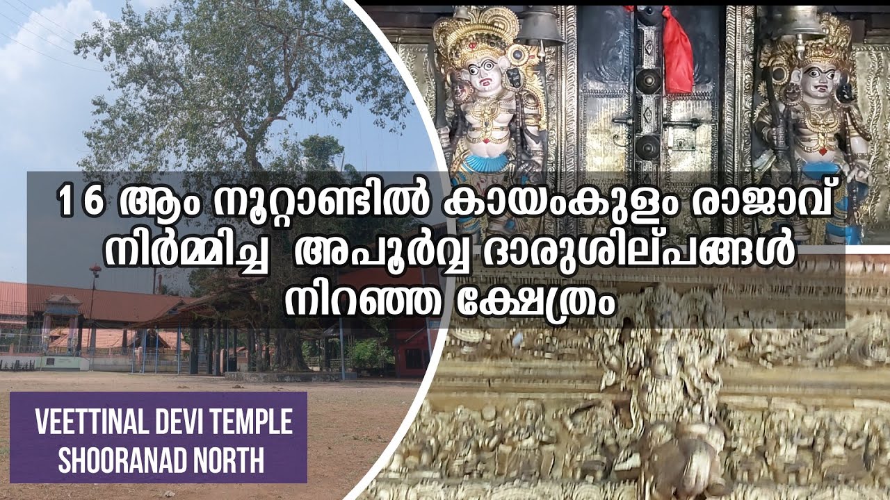 വീട്ടിനാൽ ഭഗവതി ക്ഷേത്രം ശൂരനാട് വടക്ക് | VEETTINAL DEVI TEMPLE SHOORANAD NORTH KOLLAM DISTRICT