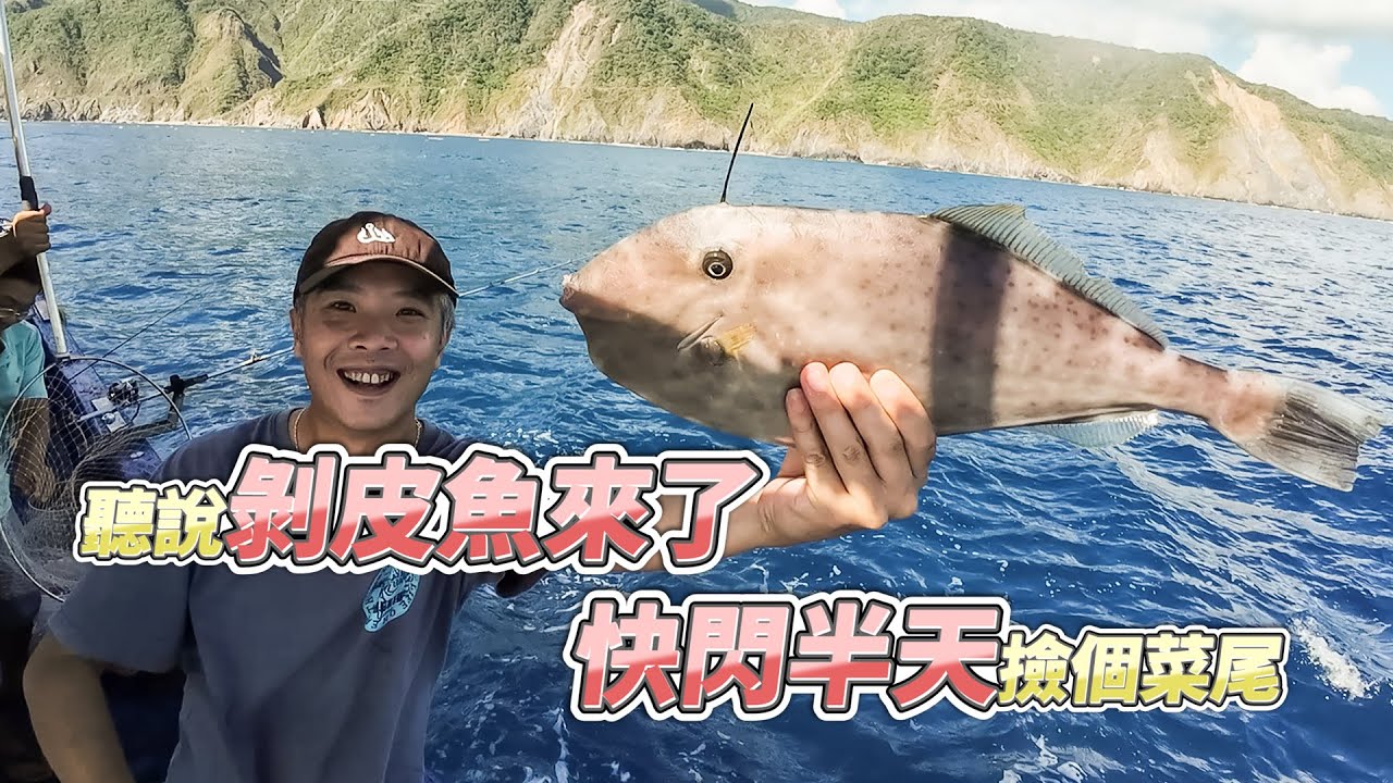 【台客去船釣】近海剝皮魚之亂又要來了嗎？快閃半天來去探看看！feat.錦豐順娛樂海釣船