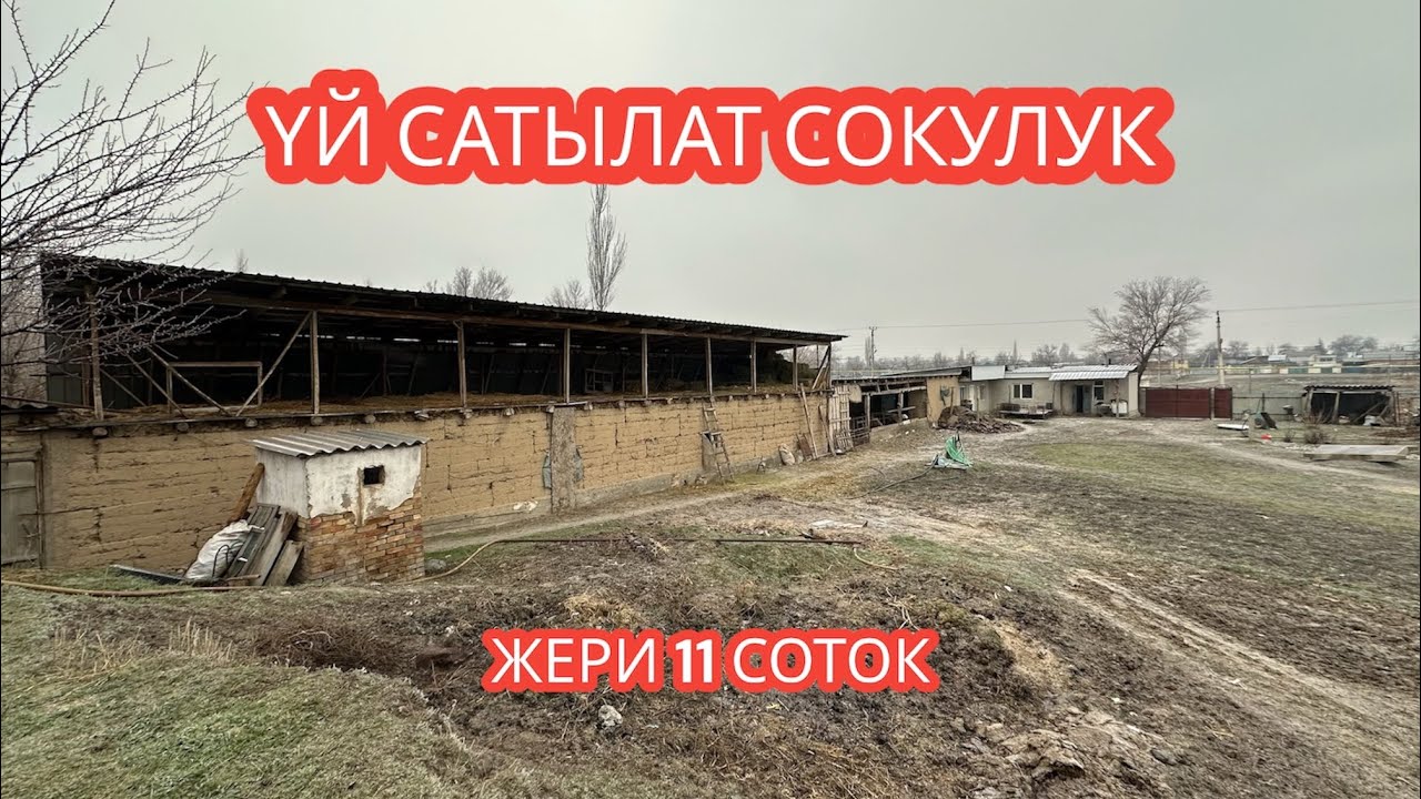 УЙ САТЫЛАТ СОКУЛУК 2024