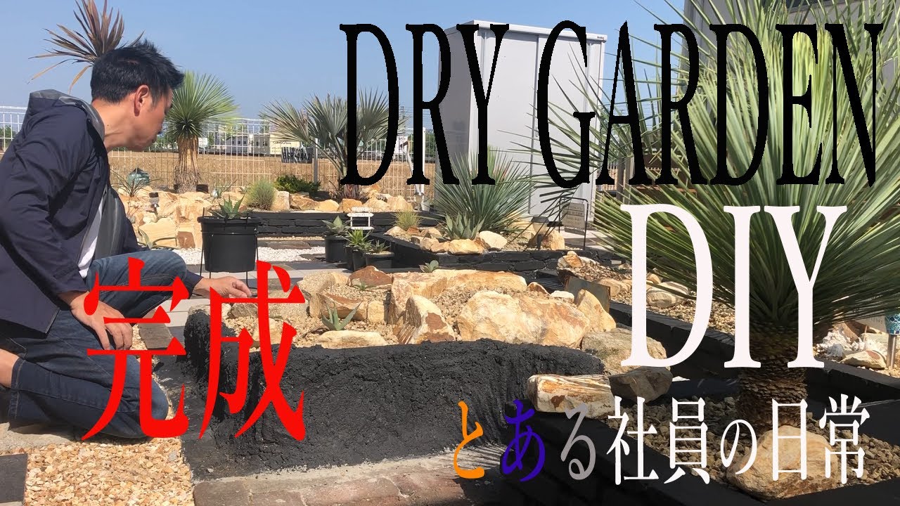 ドライガーデン　DIY完成　とある社員の日常