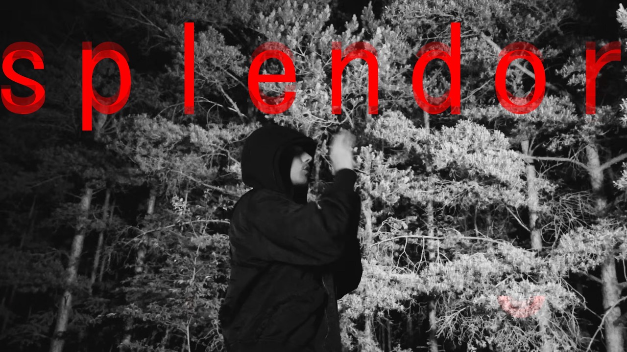 wane - splendor (prod. loosescrew)               
