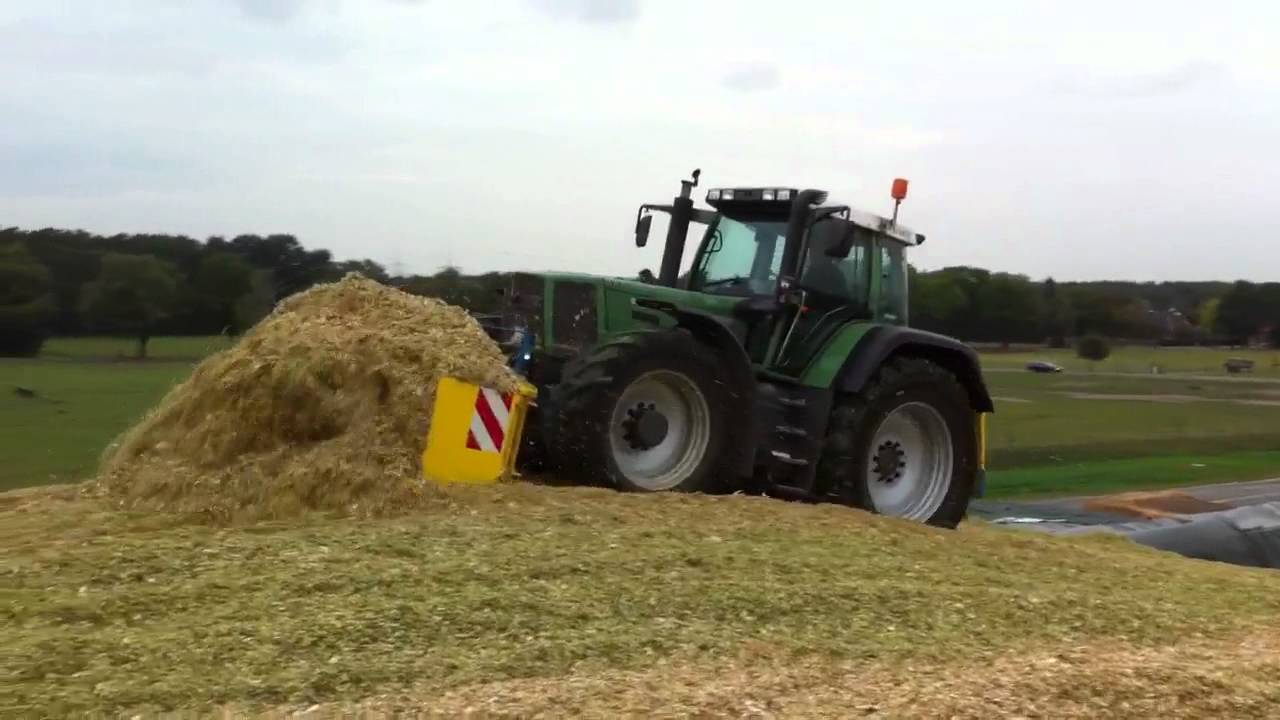 Maismiete 2011