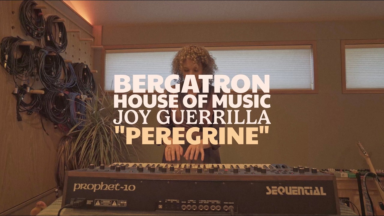 Joy Guerrilla - Peregrine (live in studio)
