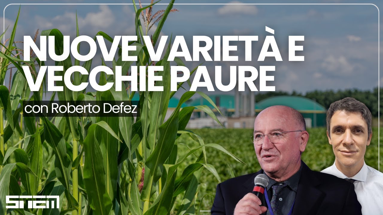 NUOVE VARIETÀ E VECCHIE PAURE - Sperimentazione in campo aperto di riso OGM con Roberto Defez