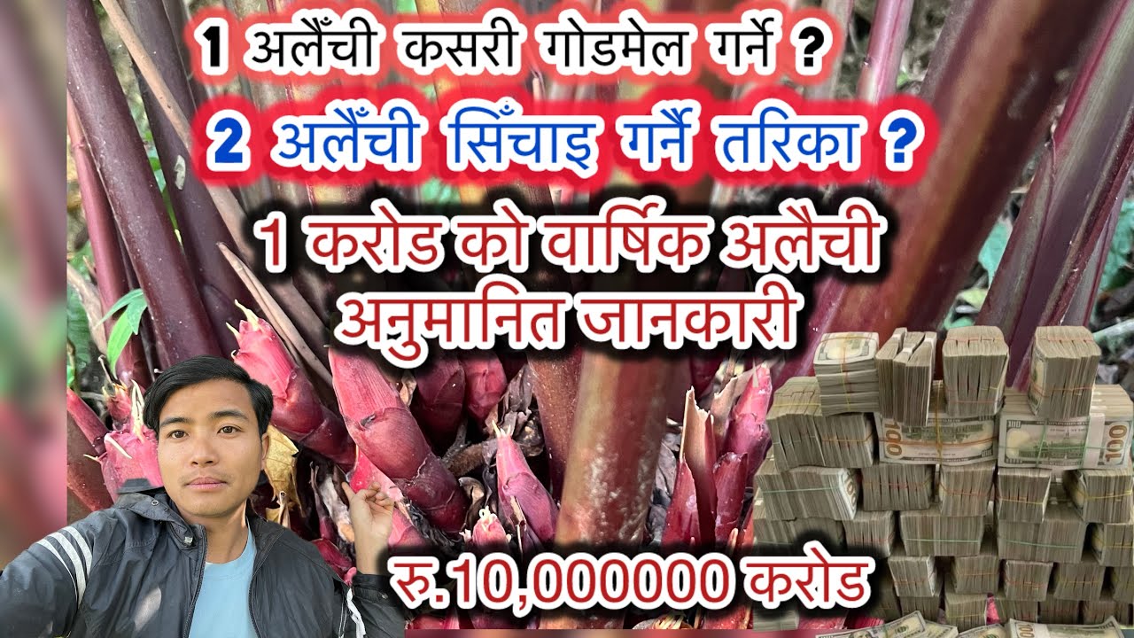 #villagelife#agriculture#farming#black#gold#plz #support#my #channel 