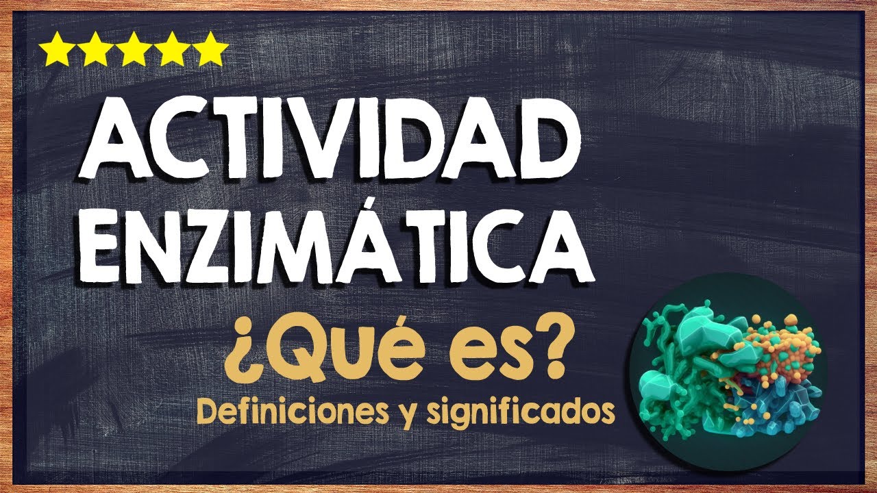 🙏 &iquest;Qu&eacute; es la actividad enzim&aacute;tica? - Conoce todo sobre la actividad con enzimas 🙏