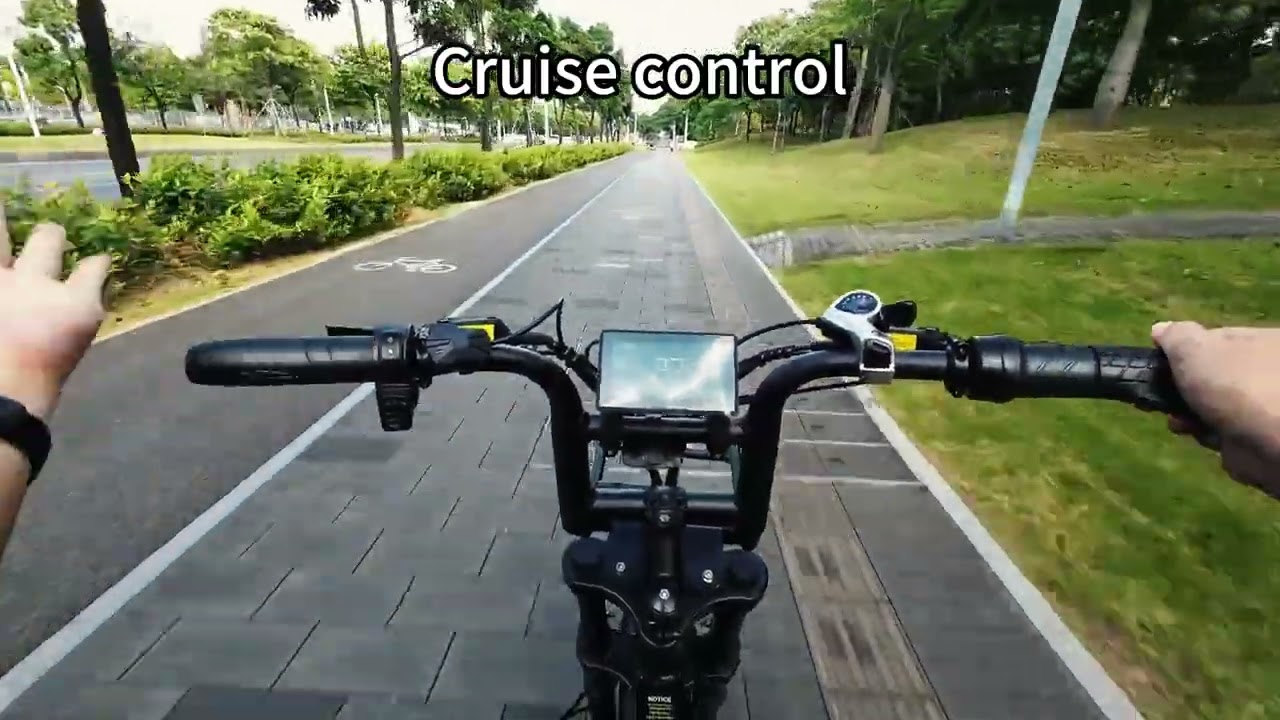 V20 Pro