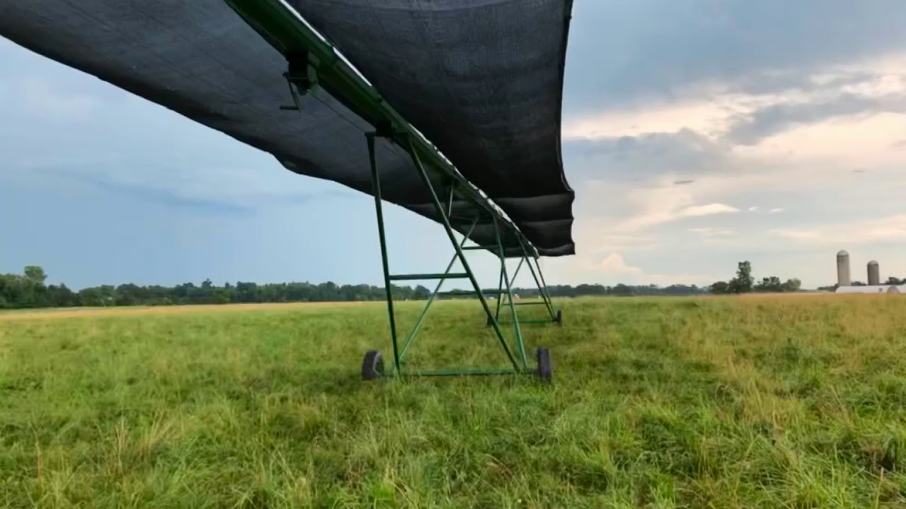 Portable cattle shade