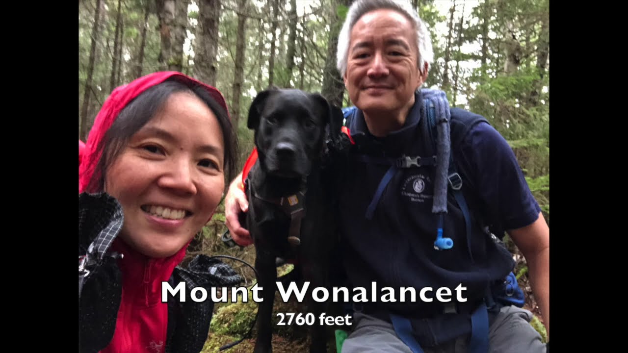 Al Capone Hikes Mounts Wonalancet, Hibbard, and Passaconaway November 28, 2020