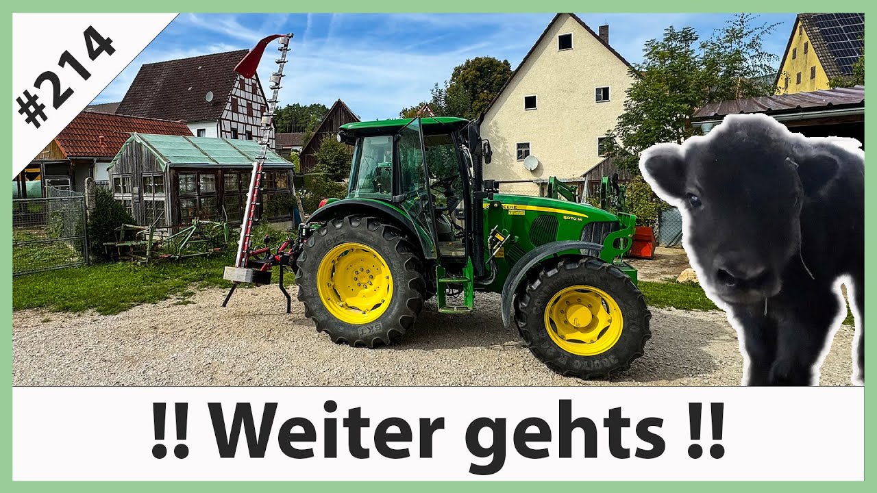 Komplizierter Nachwuchs bei den Yaks - Zweiter Schnitt mähen