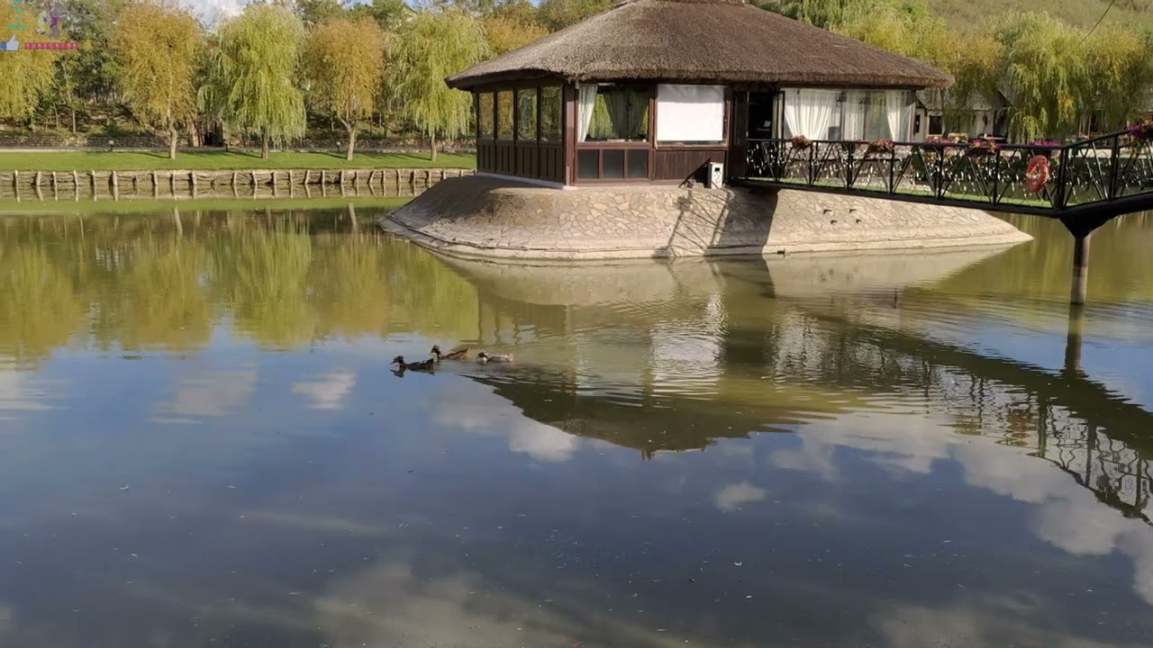 Ratuste si lebede La casa cu stuf Braila ~ 4K