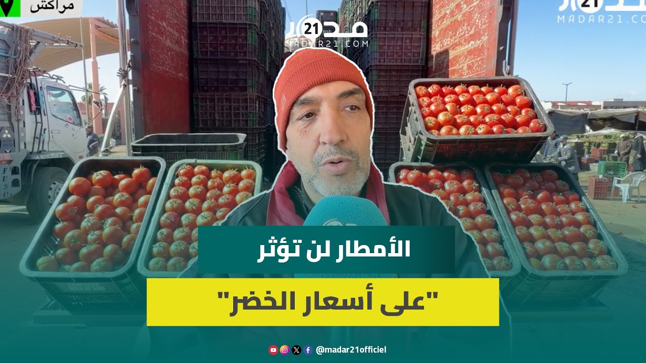 الطماطم تراكم خسائر فادحة ومهنيون يكشفون أسباب غلاء أسعارها