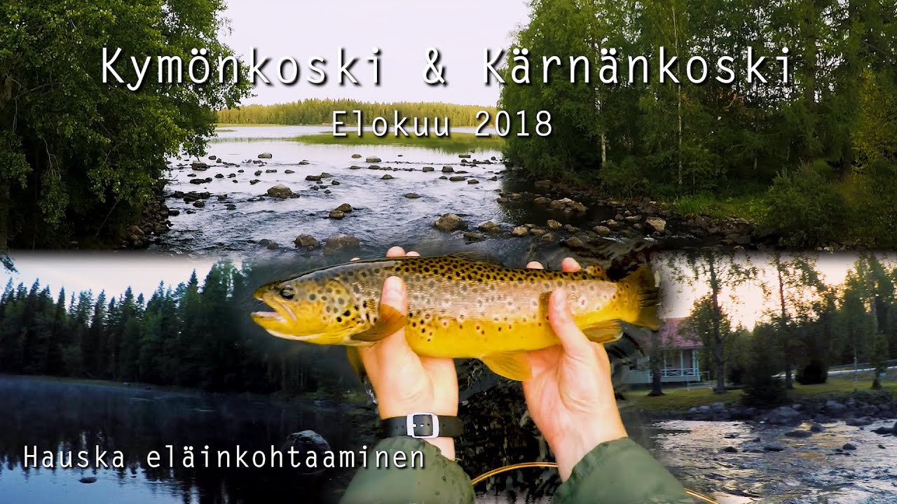 Kymönkoski ja Kärnänkoski elokuu 2018