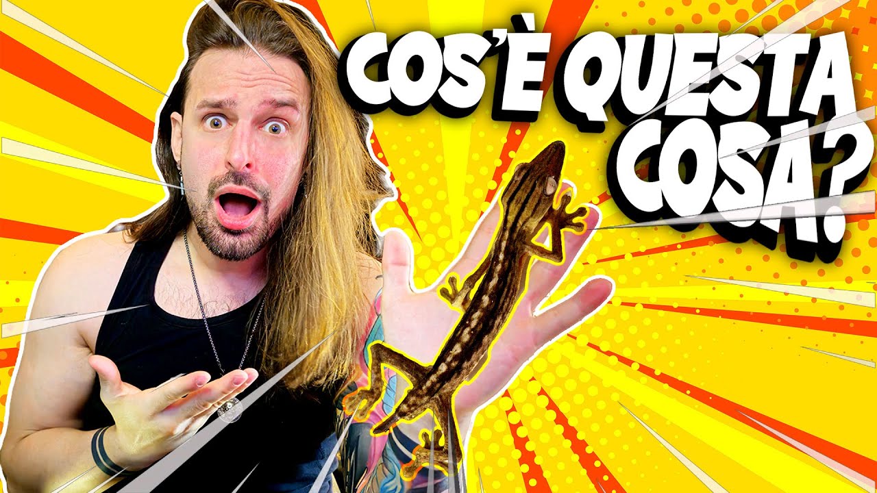 Dopo tutto questo tempo, è successo...