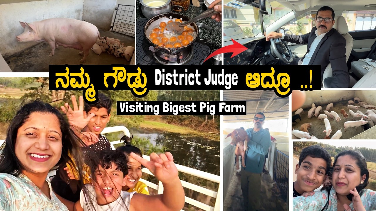 ಯಪ್ಪಾ..! 😳😱 ಒಂದೊಂದು ಹಂದಿ ಆನೆ ಗಾತ್ರ || 🐖🐷 Visiting Biggest Pig Farm | Pooja K Raj Vlogs