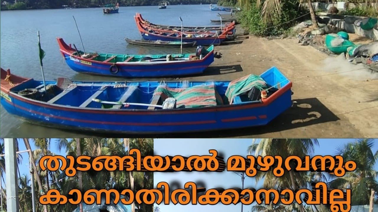 മീൻ ചാകര കാണാം 🐟🤩Kerala harbour fishing #fishing #illmooseworld