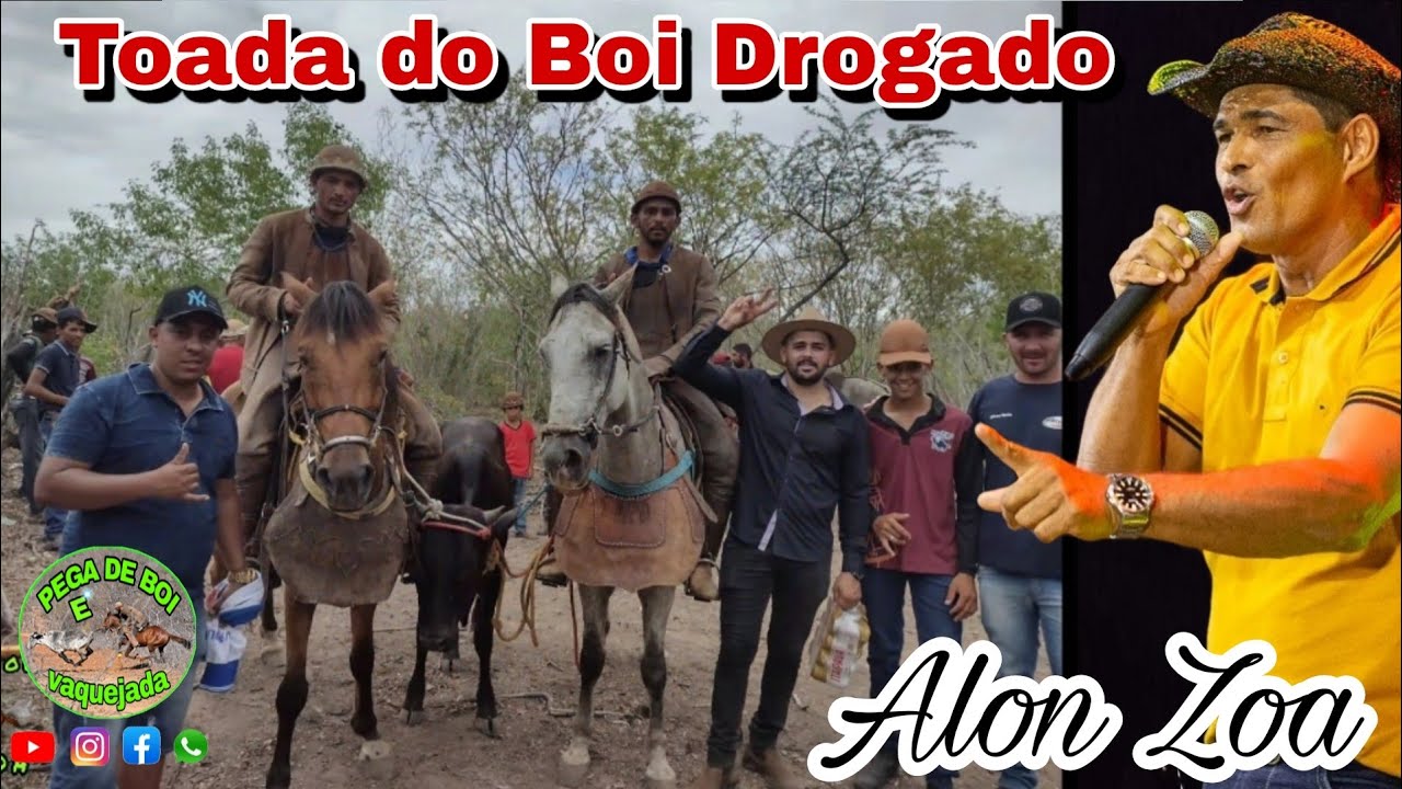 Toada do Boi Drogado , Alon Zoa