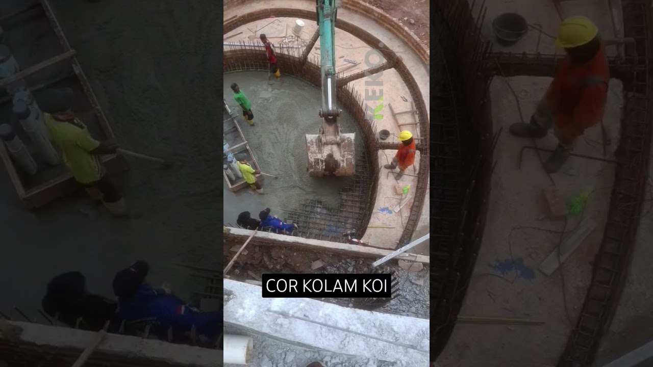 Seserius itu #kolamkoi #kolamikan
