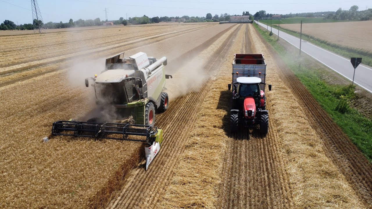 Claas Lexion 530 +  Deutz fahr 6165 ttv + Same virtus 130 | Az. Agr. Scquizzato