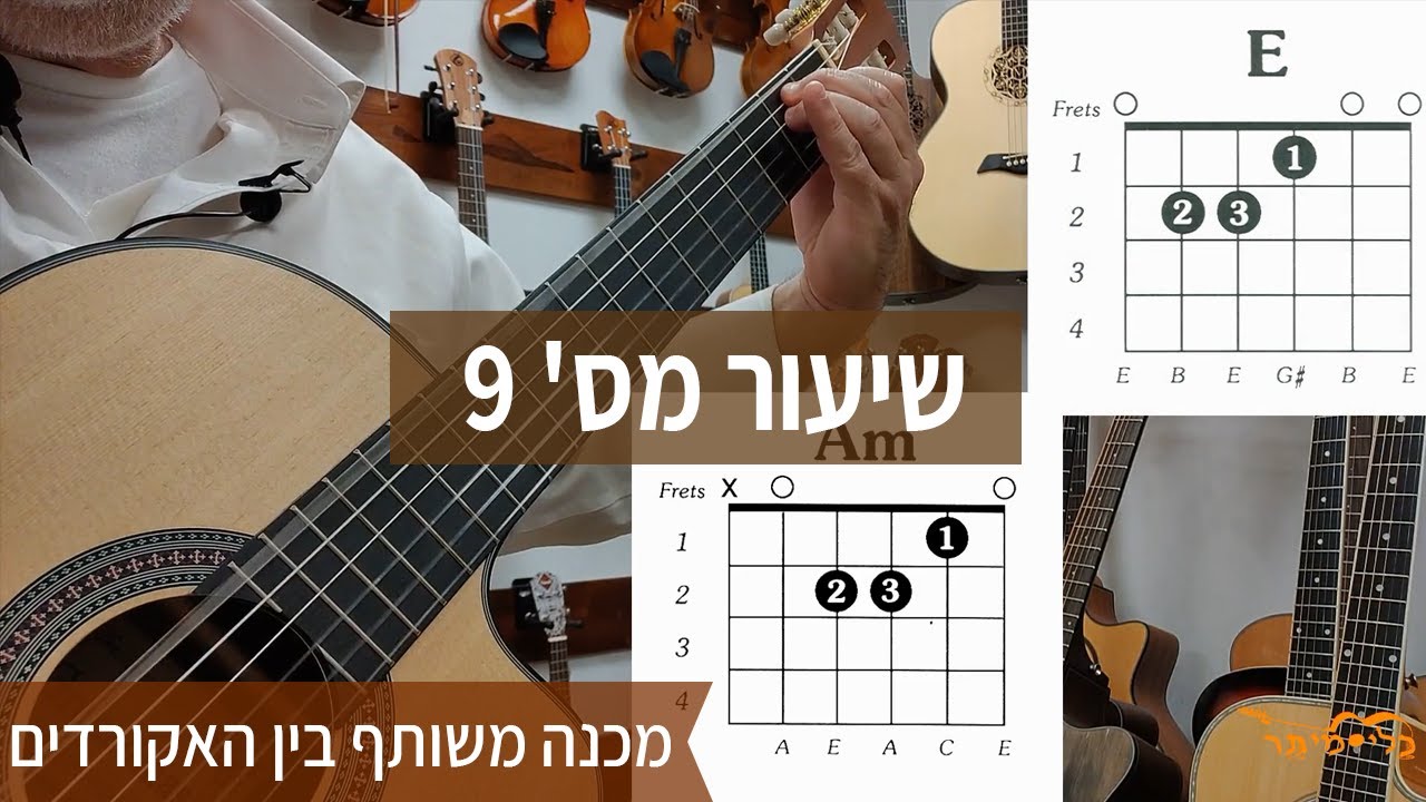 לימודי גיטרה למתחילים בחינם | מכנה משותף בין האקורדים | קורס למתחילים | שיעור מס' 9 |