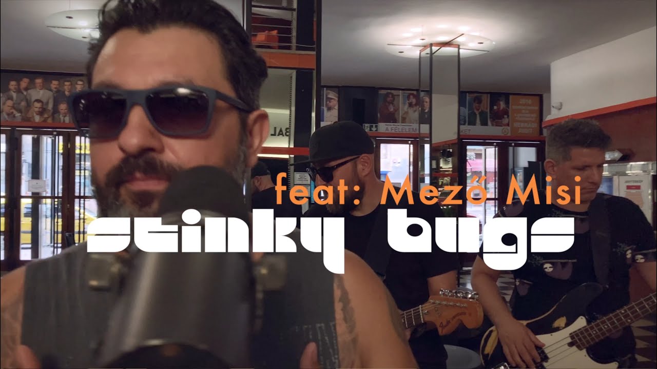 November | Elefánt | funk verzió | ft.: Mező Misi