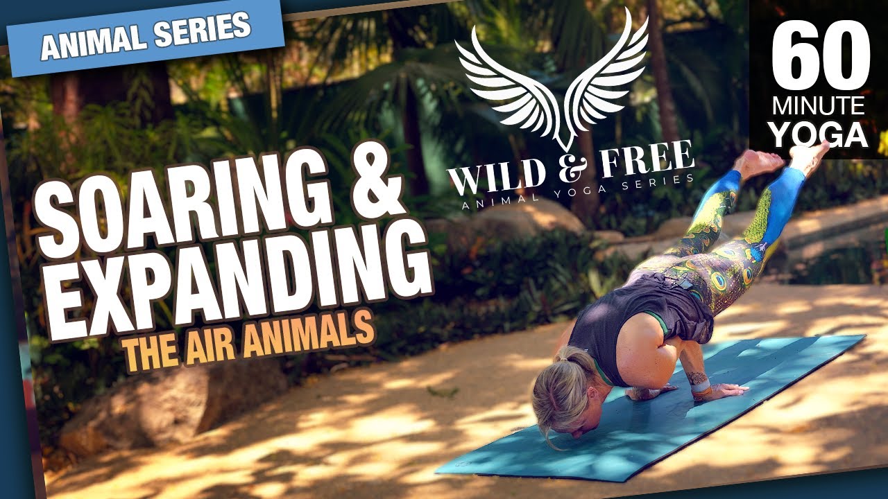 Soaring & Expanding  – Air Animal Yoga - Wild & Free Yoga Series - Five Parks Yoga
