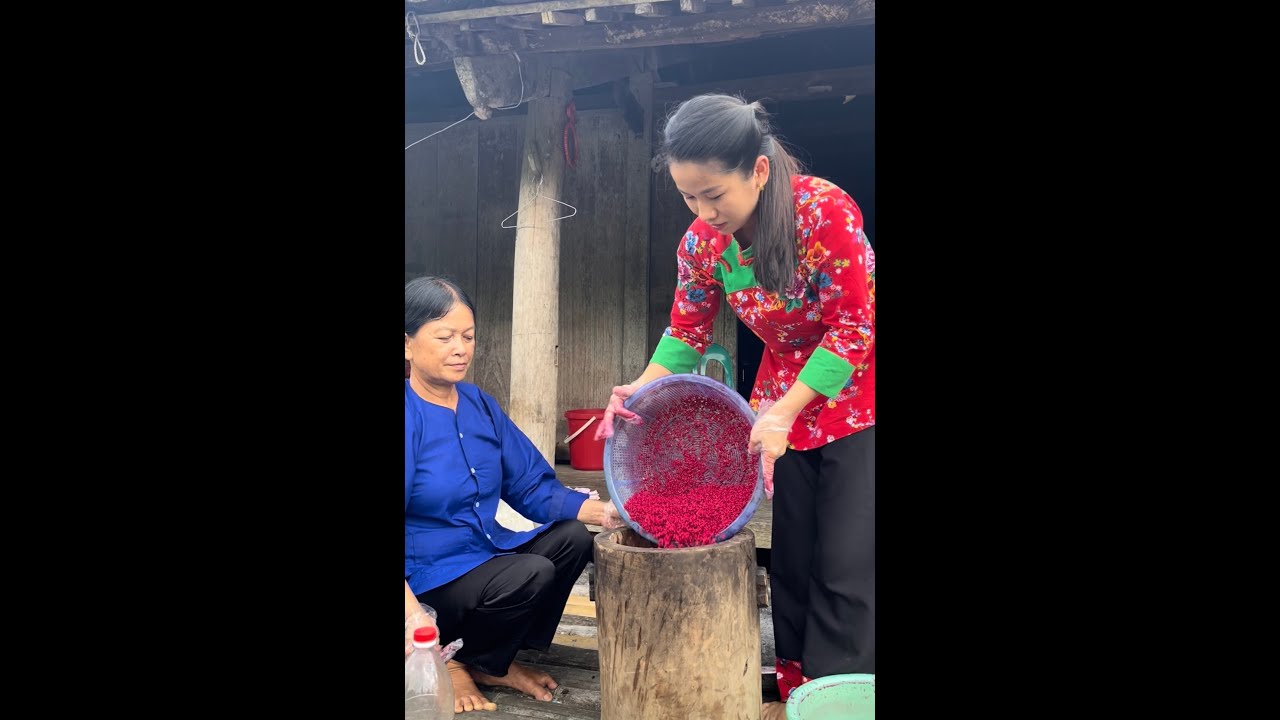 CÁCH ĐỒ XÔI VANG ( CÂY TÔ MỘC) KHÔNG BỊ BAY MÀU