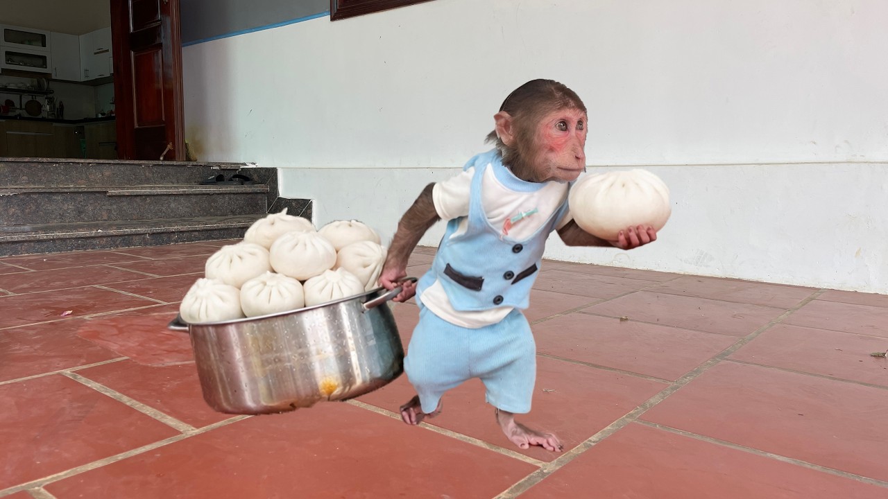 Super Chef Cubis Makes a Simple dumplings Breakfast for Dad! 🥟🐒