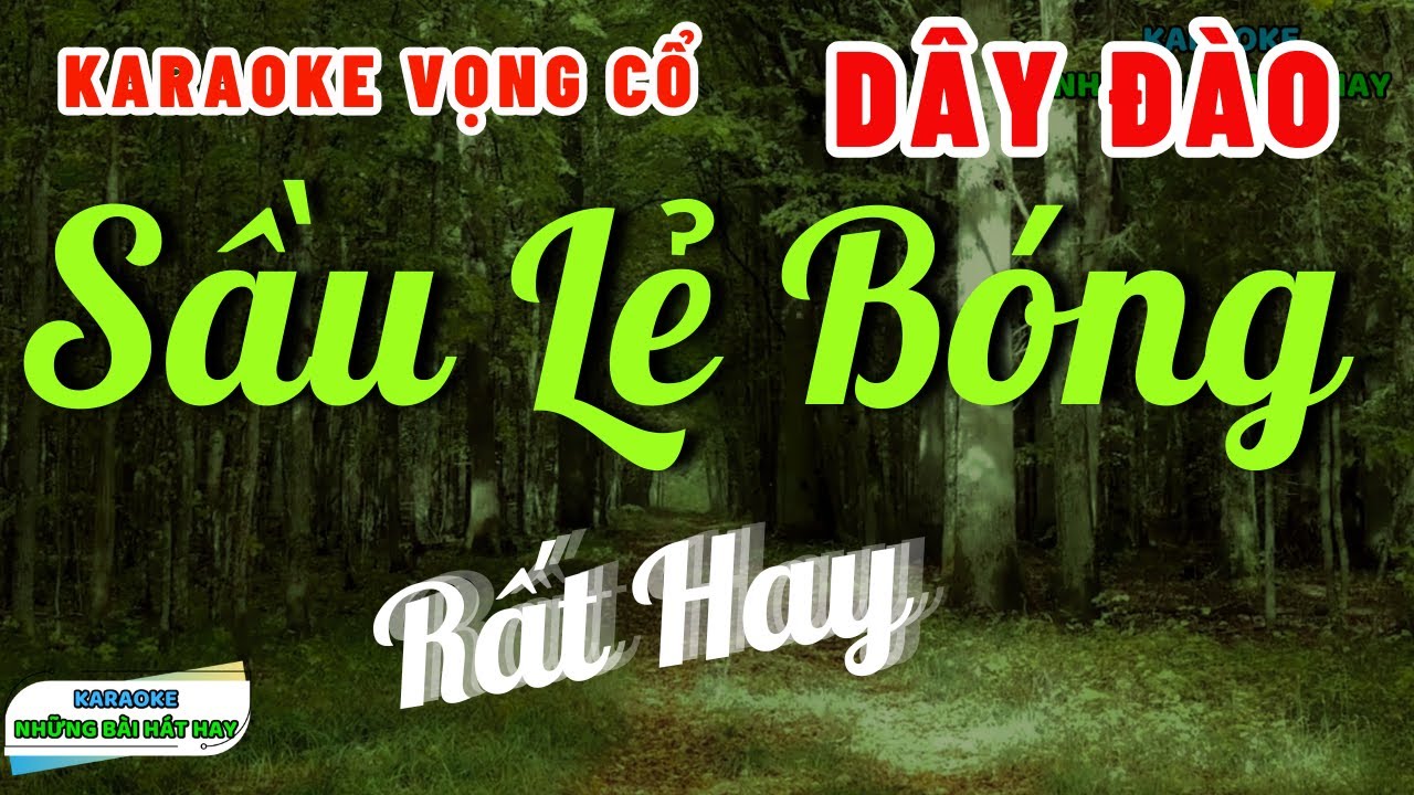 Karaoke Vọng Cổ Sầu Lẻ Bóng Dây Đào | Những Bài Hát Hay