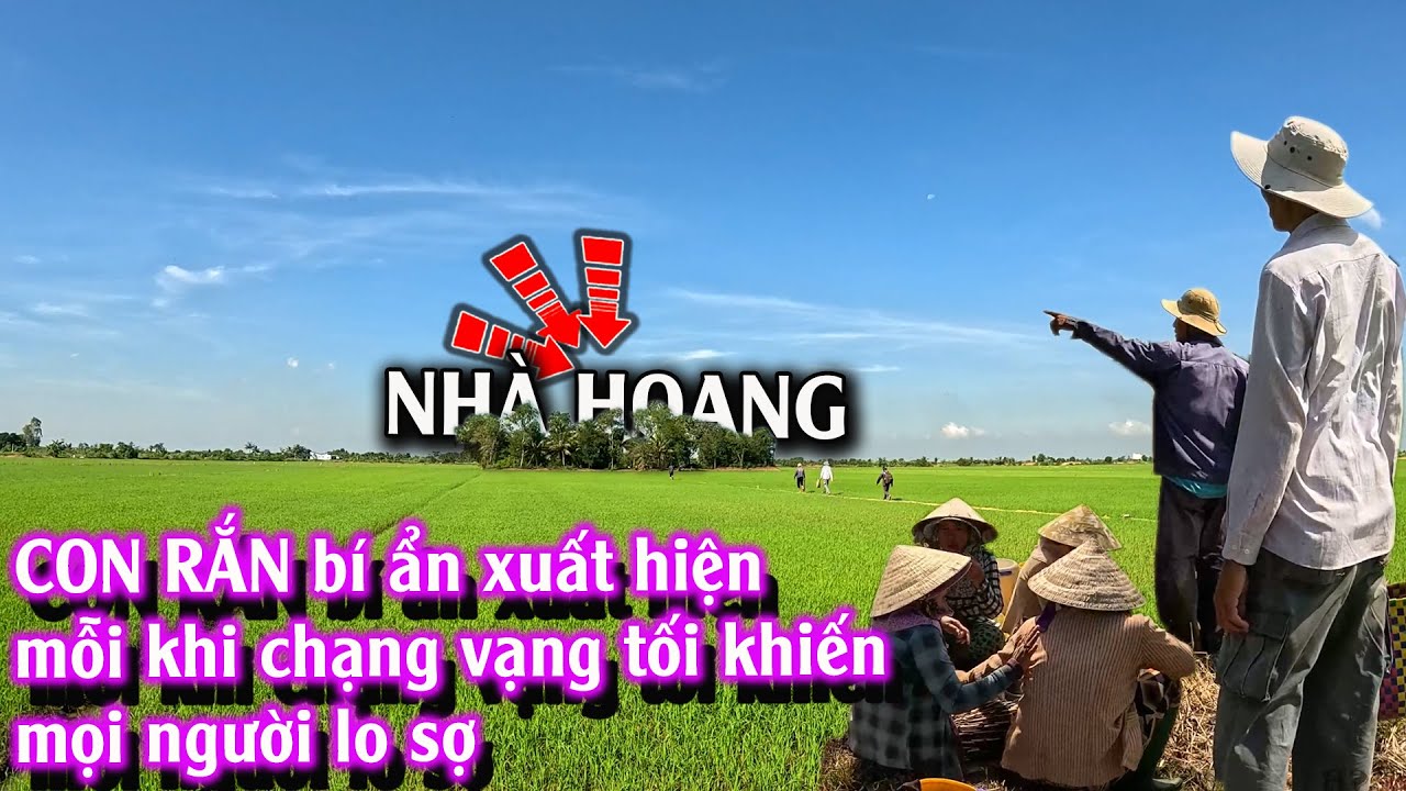 Đi tìm CON RẮN bí ẩn xuất hiện quanh CĂN NHÀ HOANG | TGSB #1027