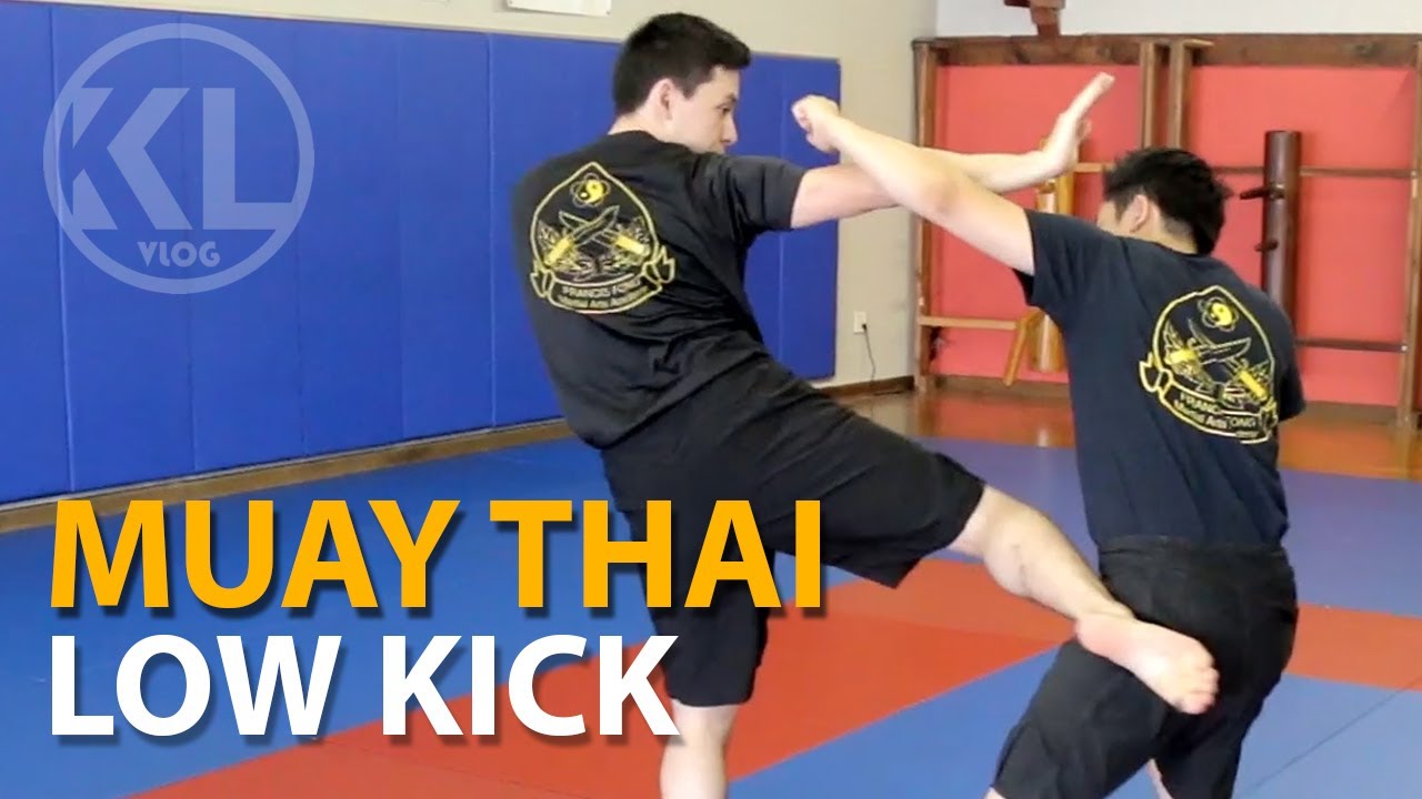 How to Throw a Muay Thai Low Kick | Thai Boxing Basics