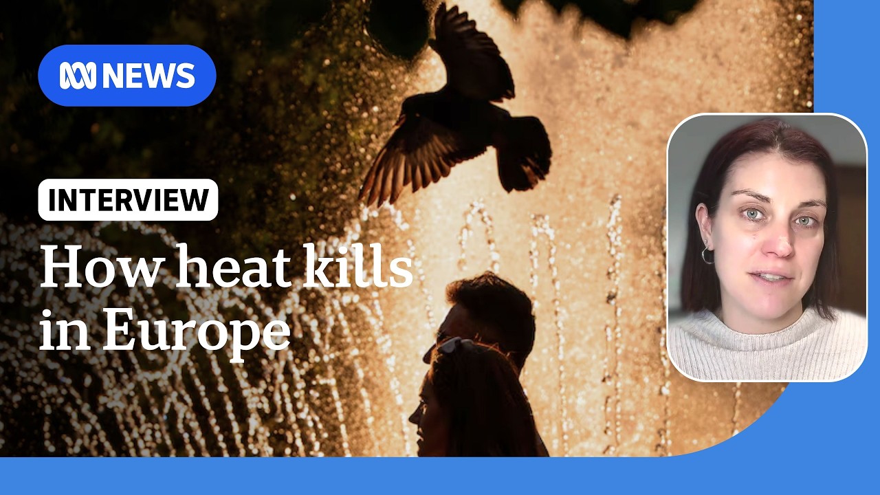 WHO attributes 1,300 deaths in Europe to record heatwaves | ABC NEWS