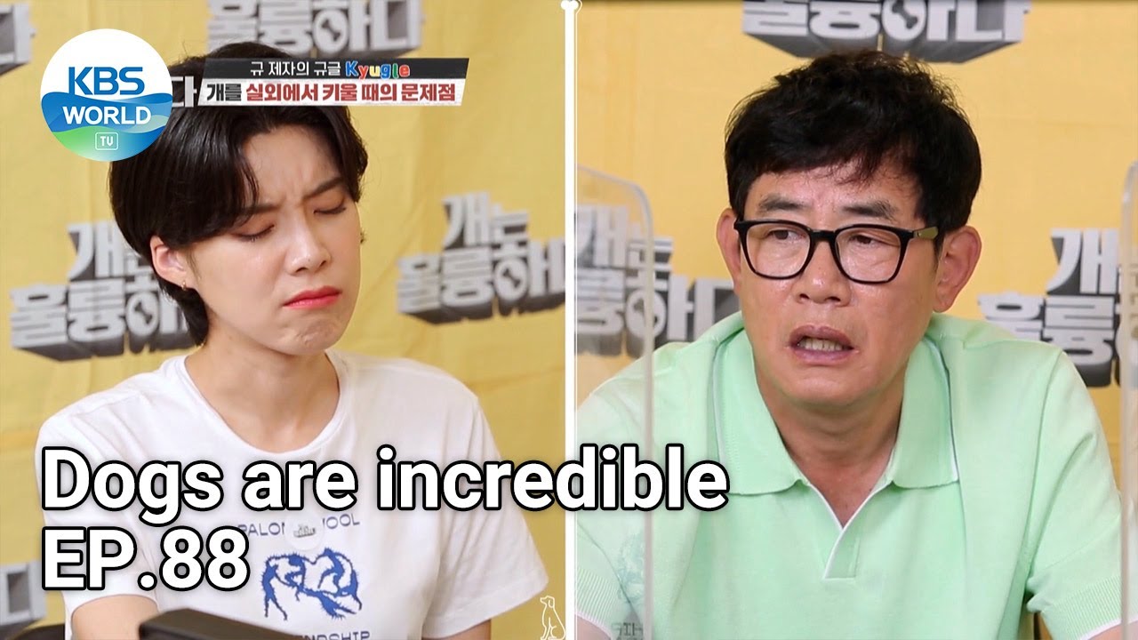 Dogs are incredible EP.88 | KBS WORLD TV 210811