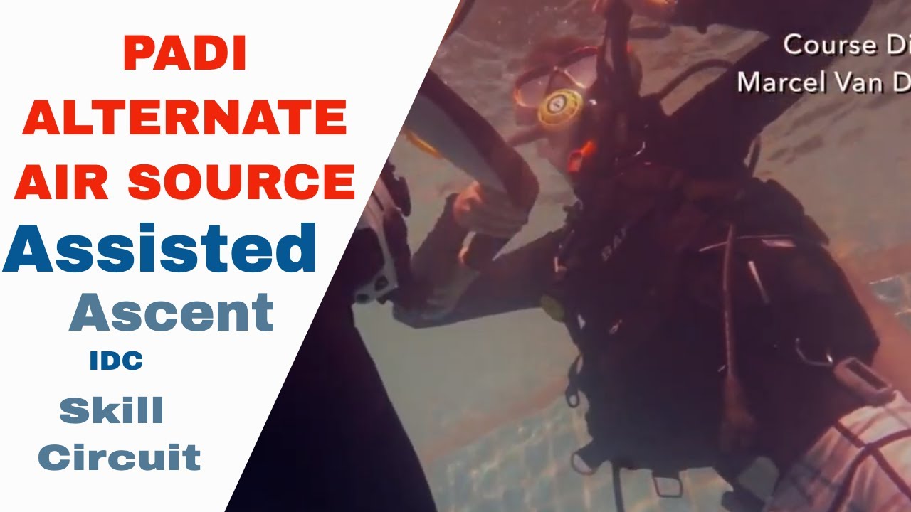 Alternate Air Source Assisted Ascent - New Revised PADI IDC Skills Circuit • Divemaster Skills