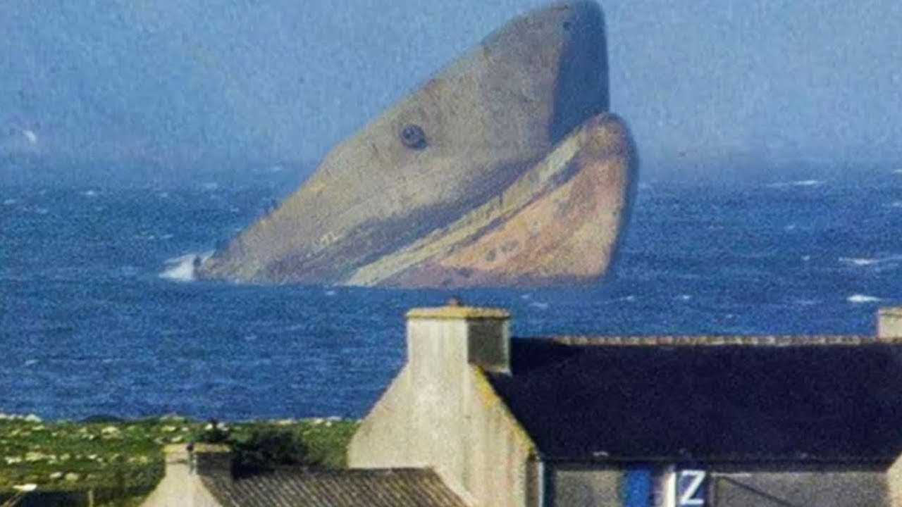 7 Cele Mai GIGANTICE Creaturi Marine Vazute VREODATA