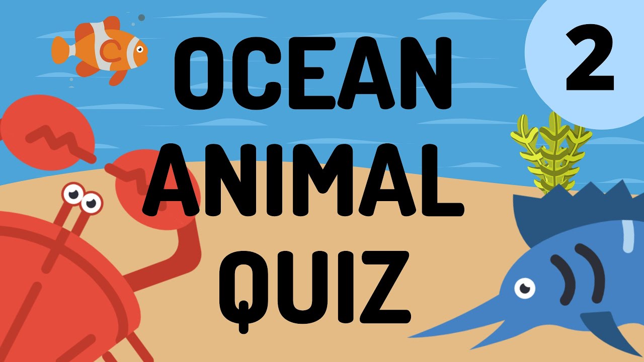 OCEAN Animal Quiz #2 | For Teachers and Kids | Teaching Resource | Timed Guessing Game