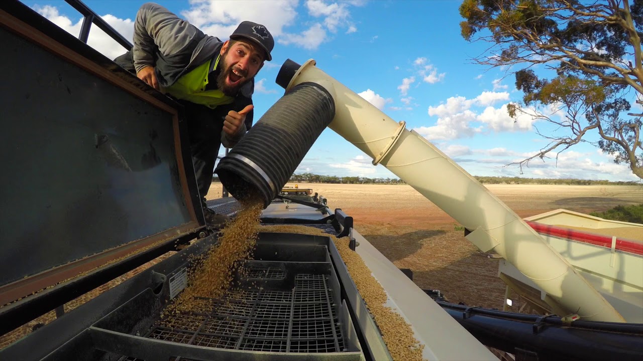 Wheat, Barley & Canola Air Seeding Video in Kulin, WA