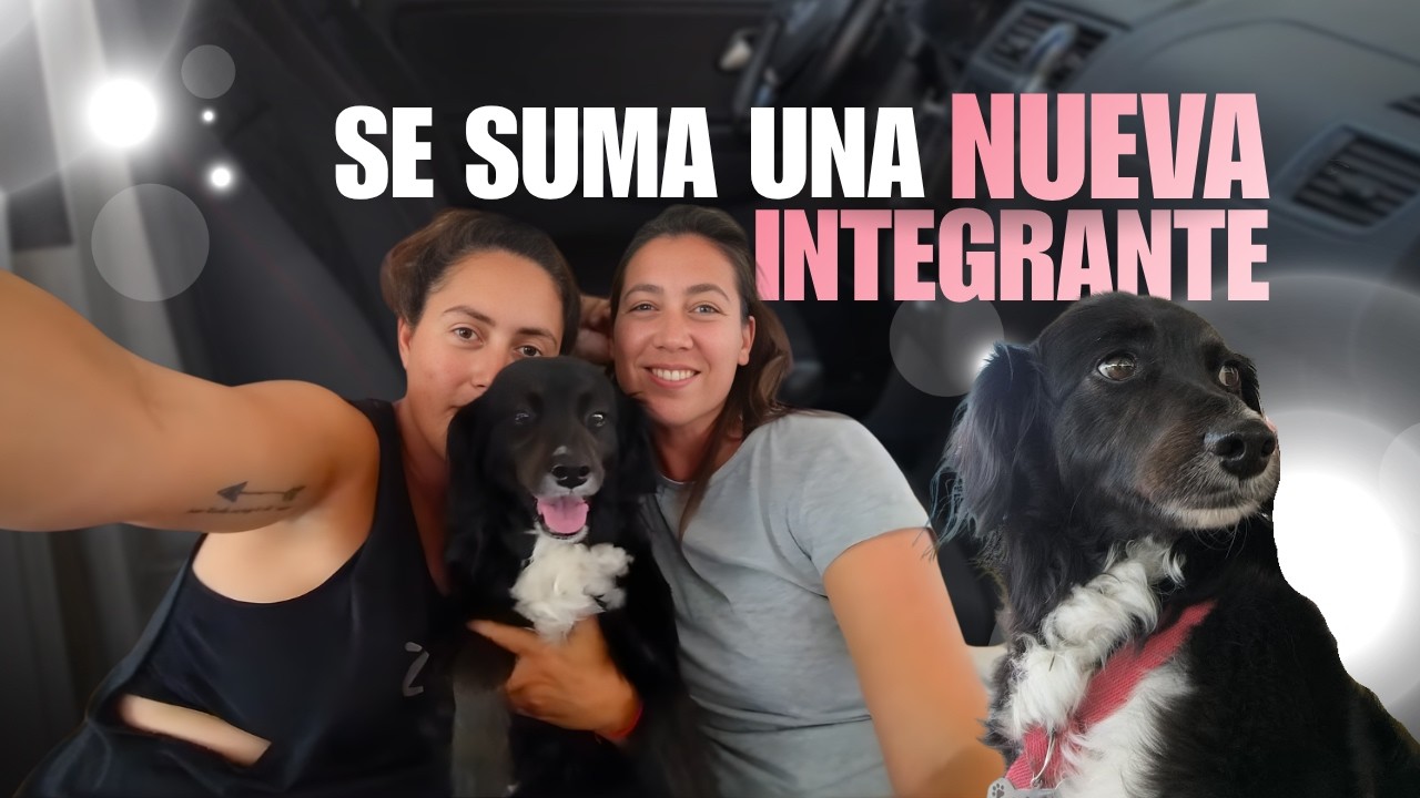 Volvimos a casa para dejar cosas y viajar más livianas 🛣️🧭🐾