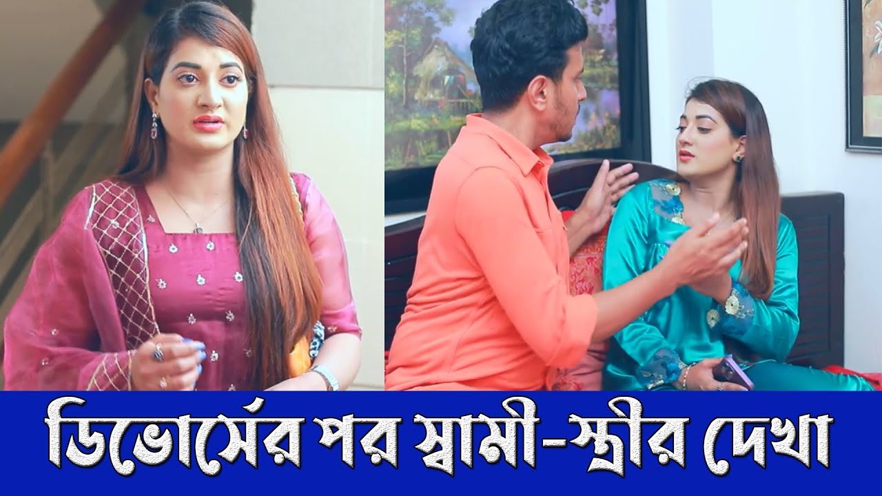 ডিভোর্সের পর হঠাৎ স্বামী-স্ত্রীর দেখা অতঃপর।