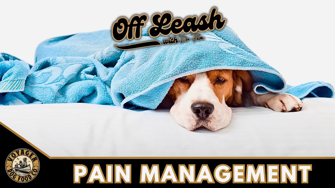 Pain Management
