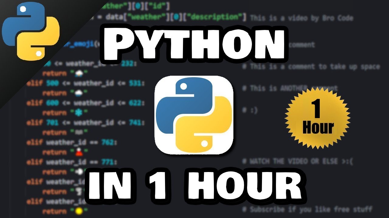 Изучите Python за 1 час! 🐍