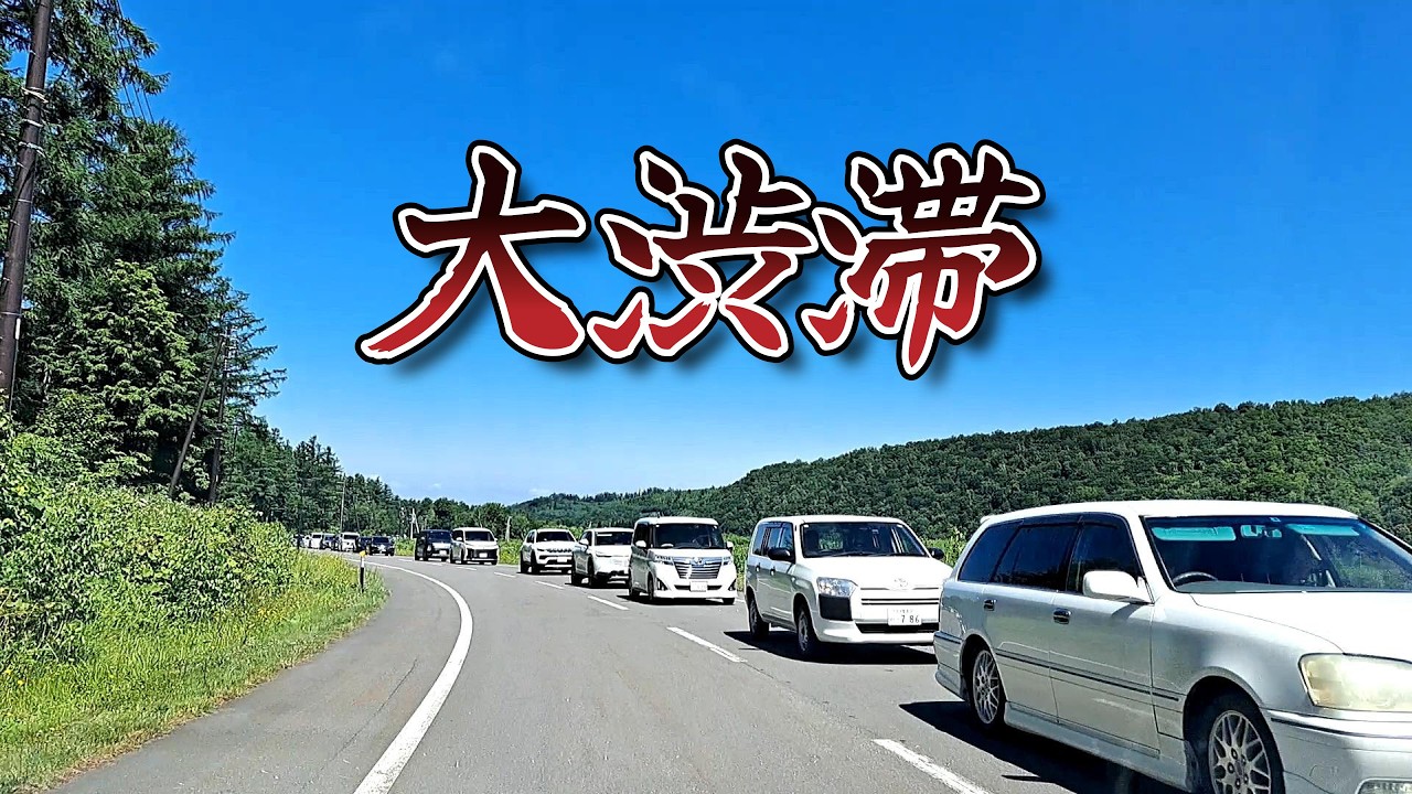 【速報】7/14ラベンダーシーズン最盛期の美瑛の渋滞「北海道 美瑛」