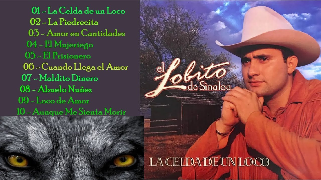 El Lobito de Sinaloa - 