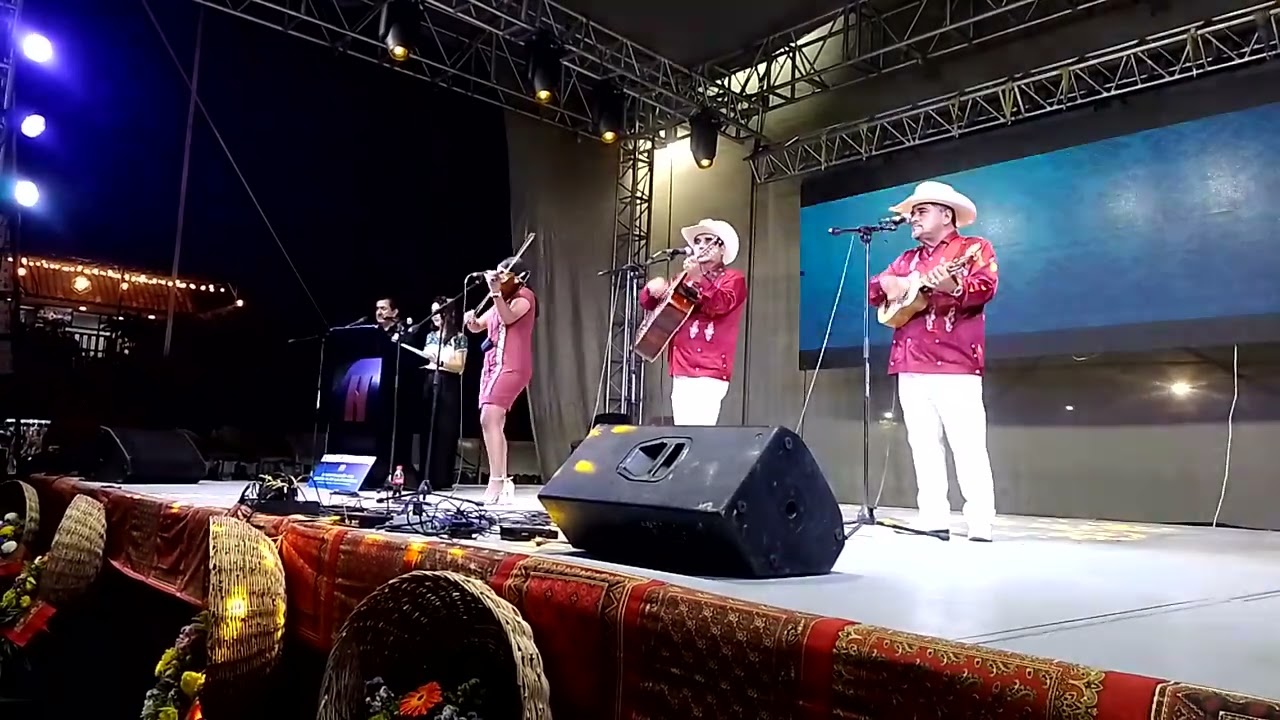 El cielito lindo - Gallitos huastecos 🔥🎻