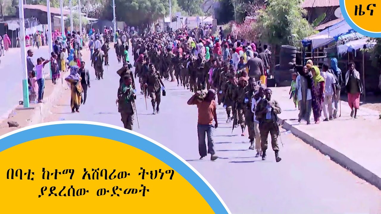በባቲ ከተማ አሸባሪው ትህነግ ያደረሰው ውድመት